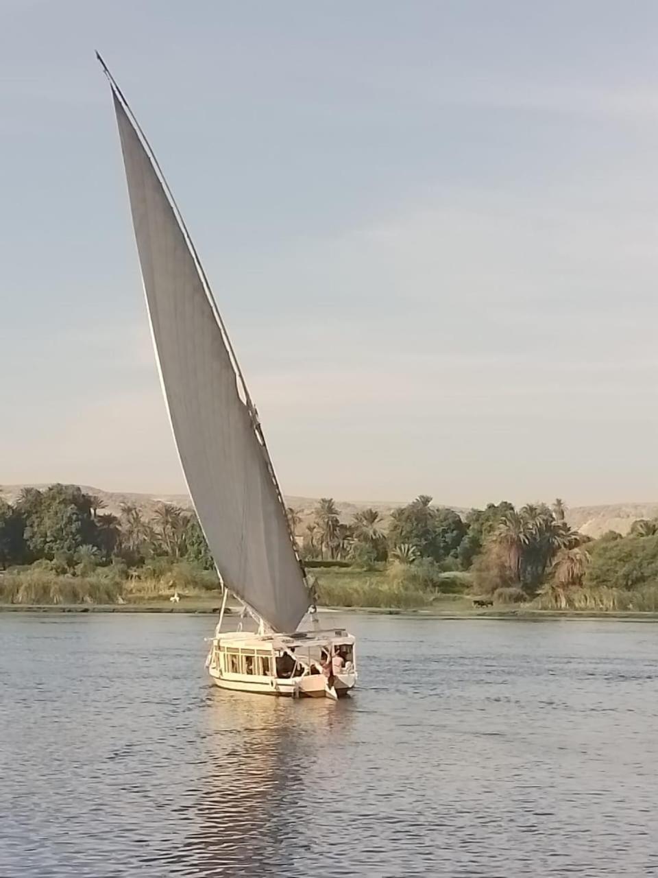 Hotel Nile Felucca Adventure Asuán Exterior foto